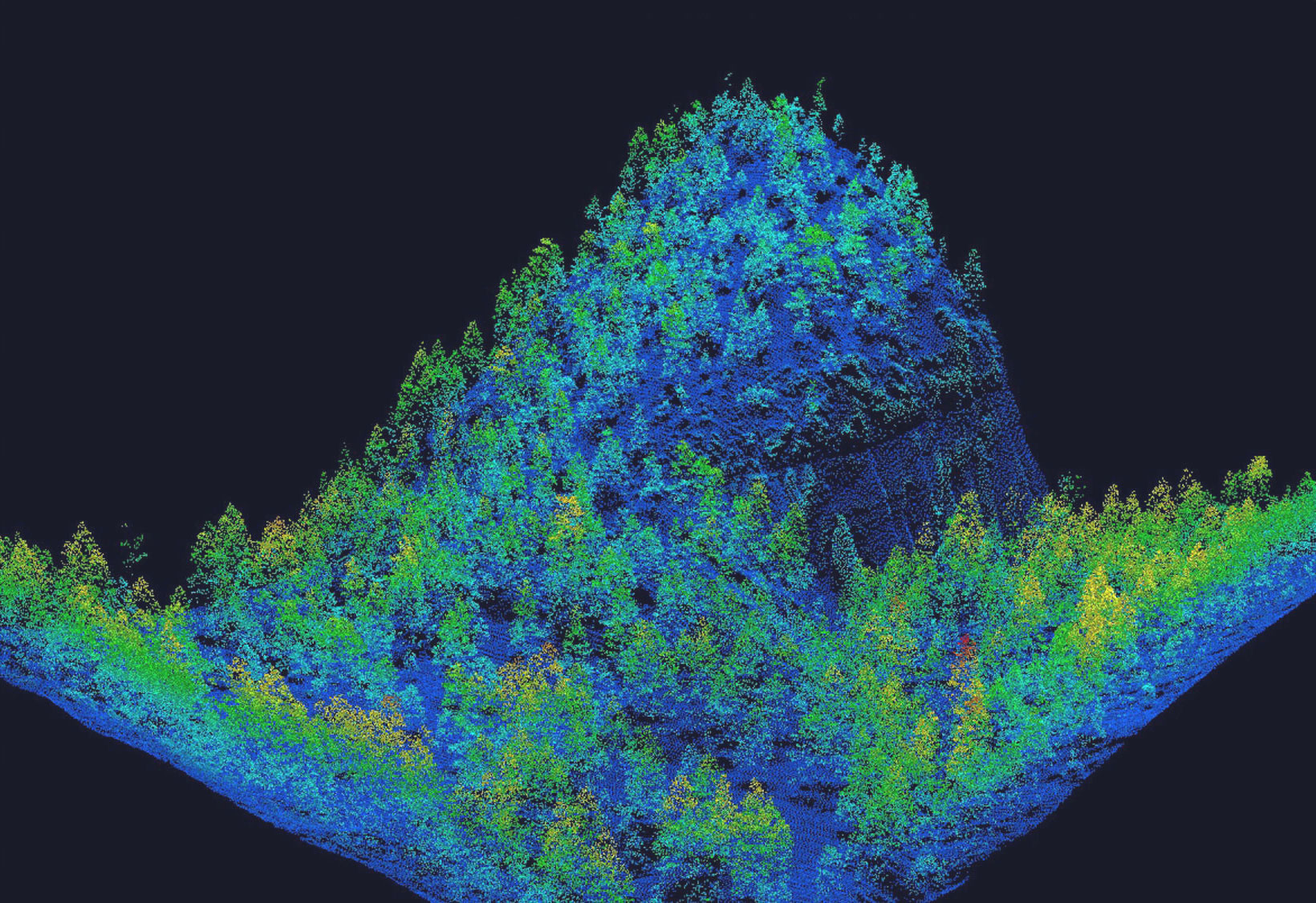 Lidar scan of forestland.