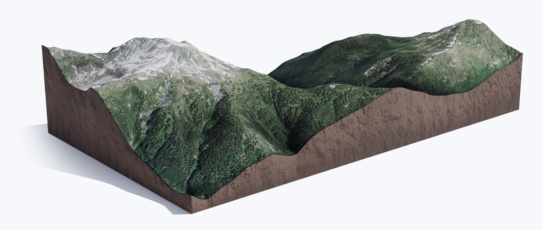 3d render of cutaway section of forestland.