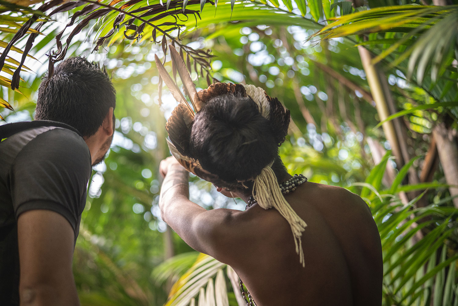 Image of a western man and native tribesman looking at trees in a forest.