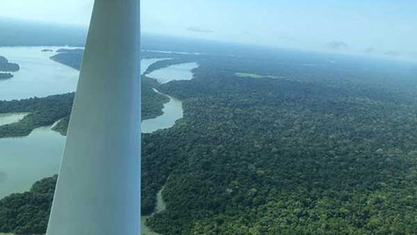 An arial view of the Amazon river and forest