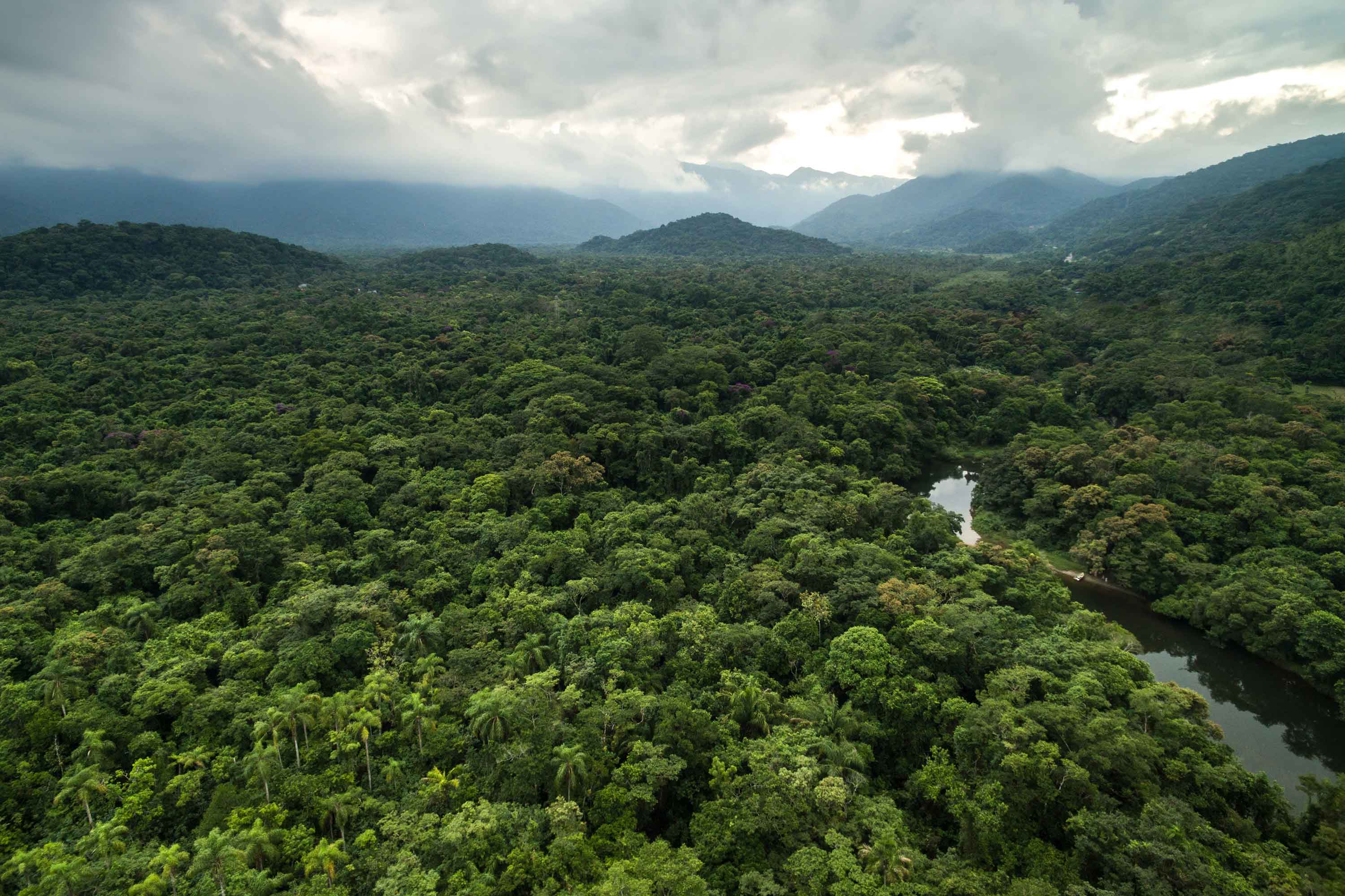 An arial view of the Amazon rainforest in Brazil