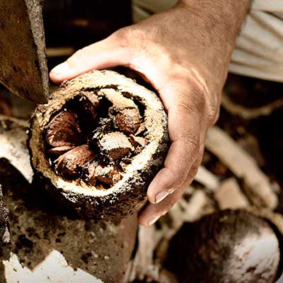 A close up of food preparation
