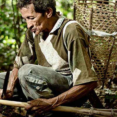 A man working with wood in the forest