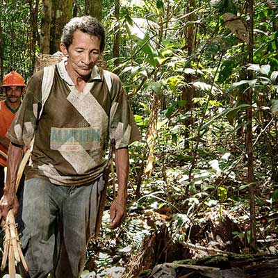 Two working men walking through the Brazilian forest