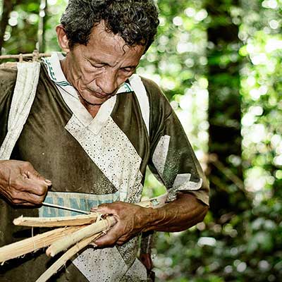 A man working in the forest
