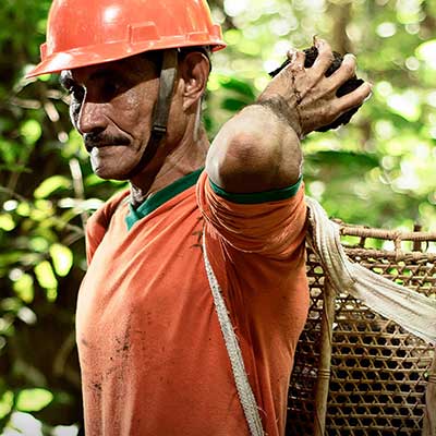 A Brazilian man wearing a hard had working in the forest