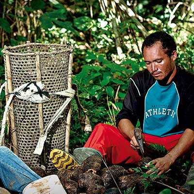 Two men preparing produce in the forest