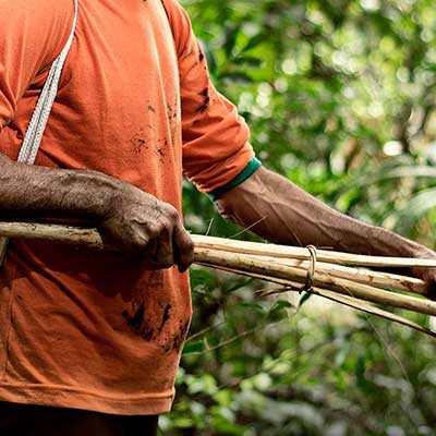 A man working in the forest