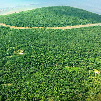 A birdseye view of the Jari Valley showing green trees and water in the distance