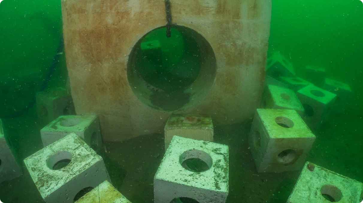 ReefCubes on sea floor bed