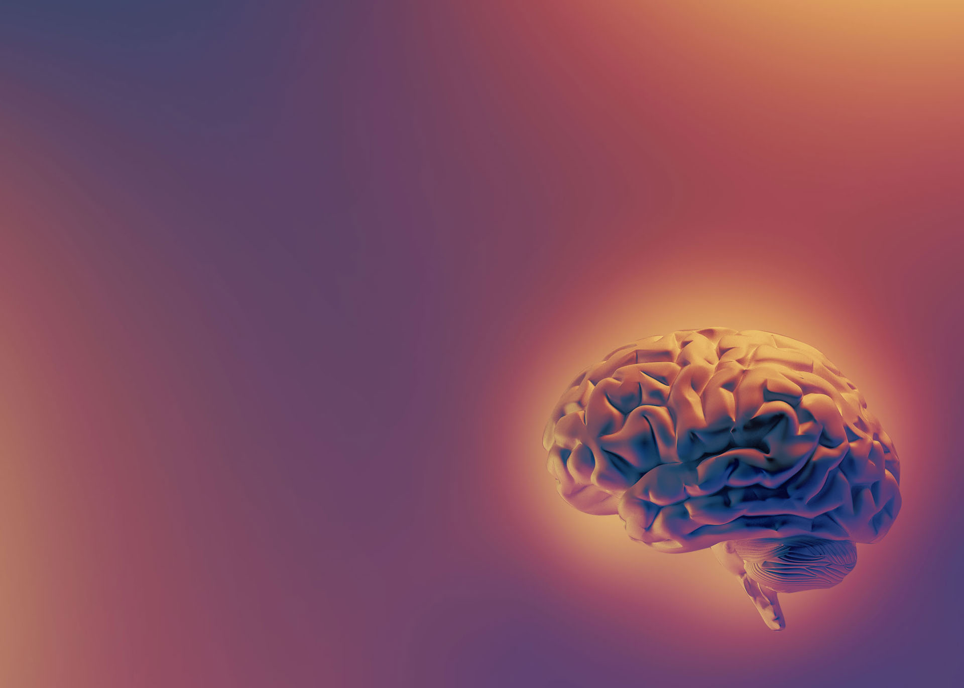 Neuropsychiatry