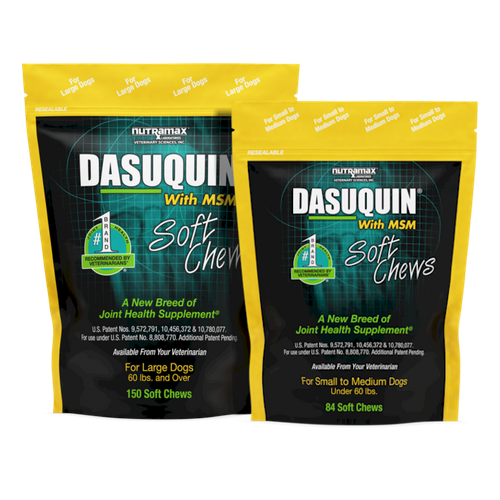 Dasuquin® Advanced Soft Chews