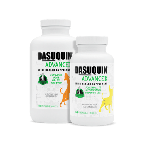 Dasuquin® With MSM Soft Chews
