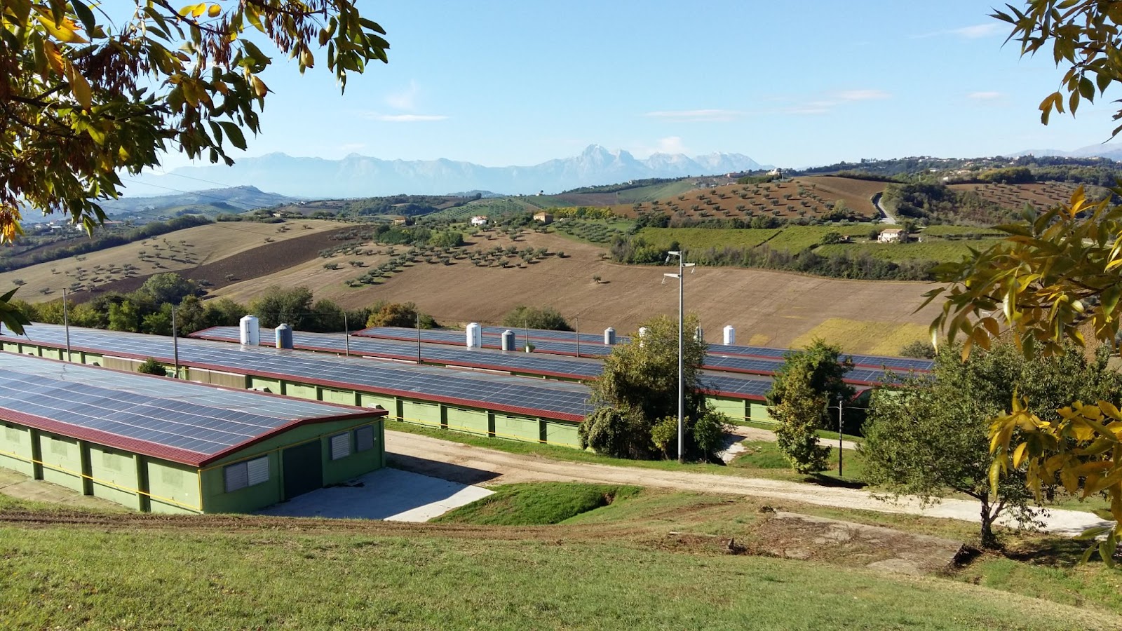 gruppo amadori cubbit next generation cloud pioneers