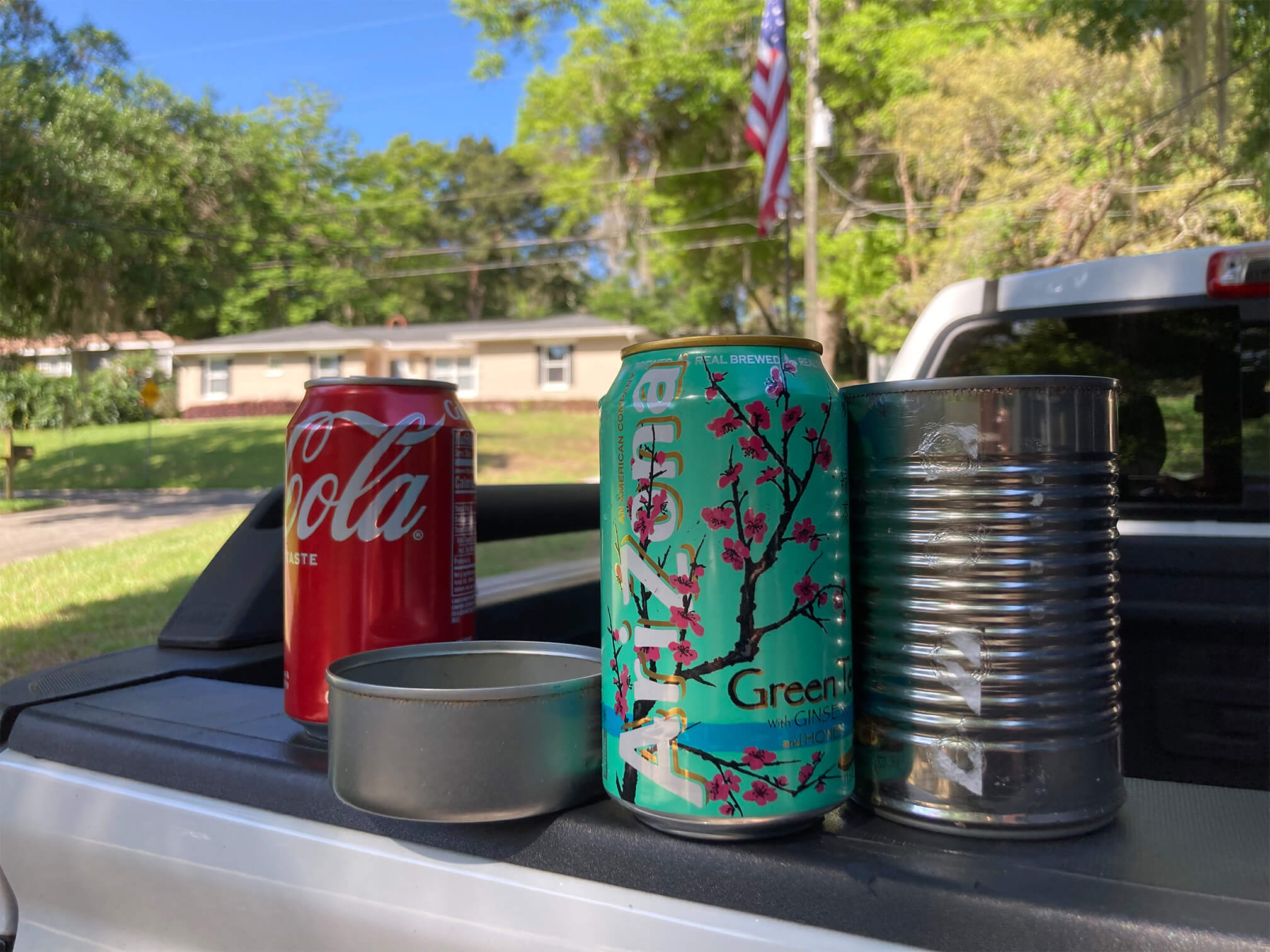 A Coca Cola can, pet food can, Arizona tea can, and an empty food aluminum can.