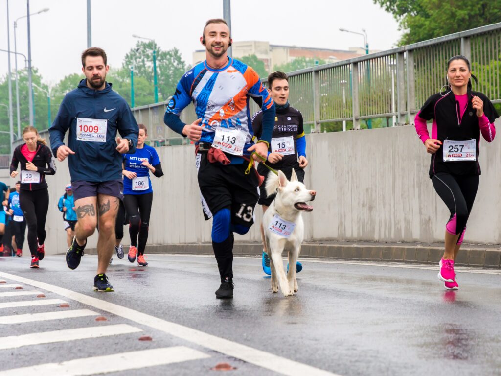 Turkey trots around the USA for 2021 and beyond!