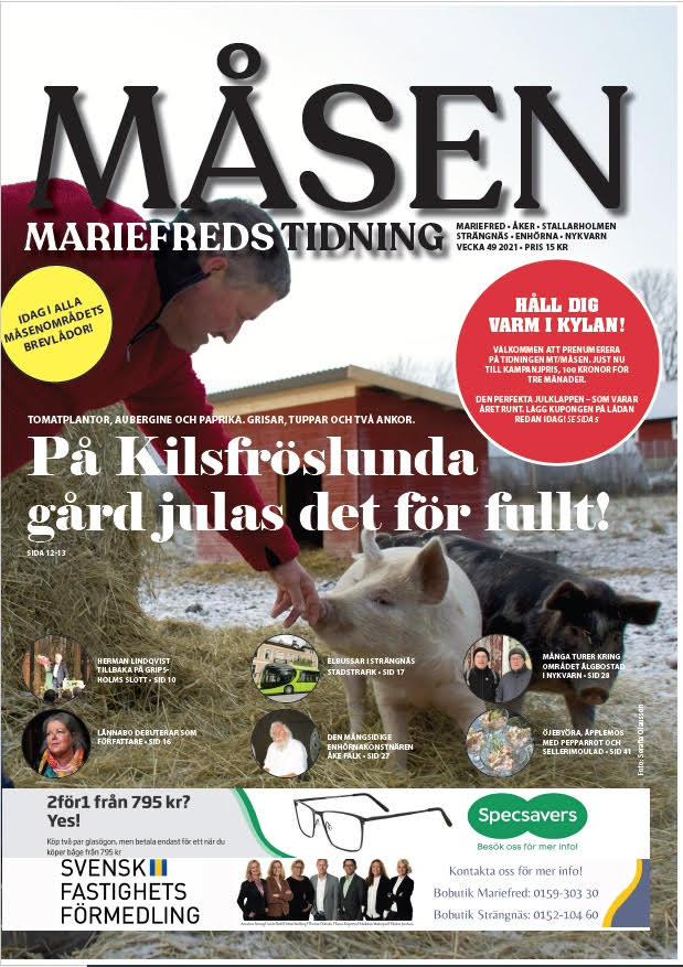 dejta vän gusten