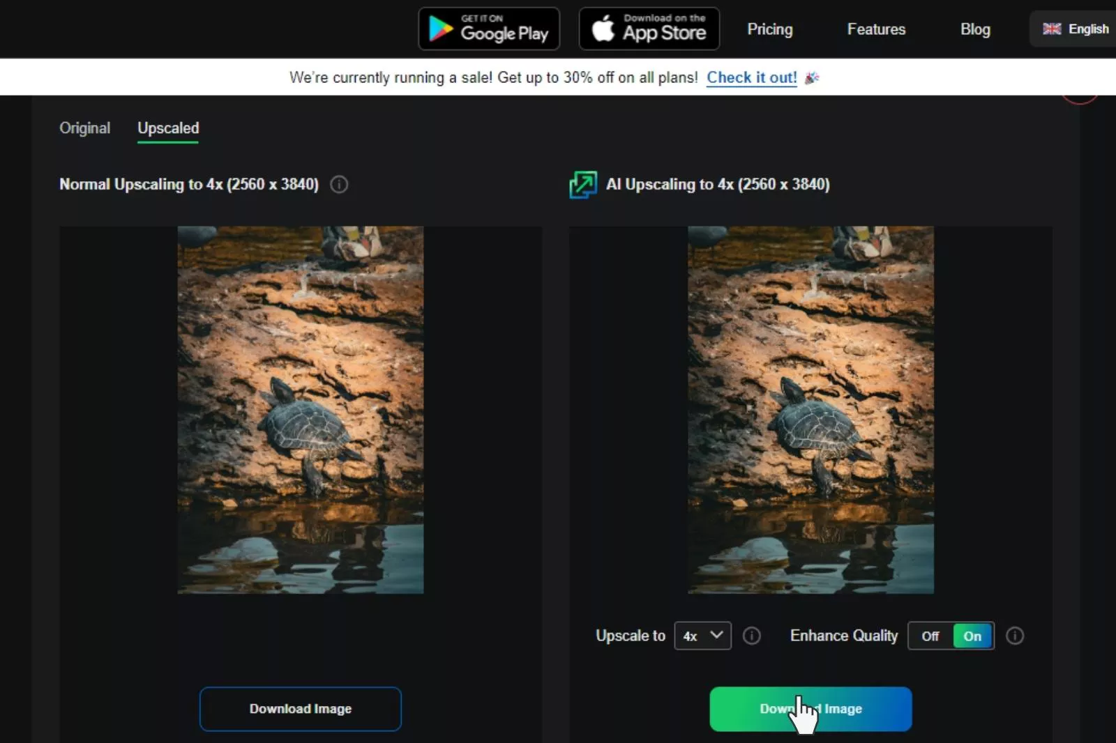 AI Image Enlargers Step Up Your Image Quality with AI