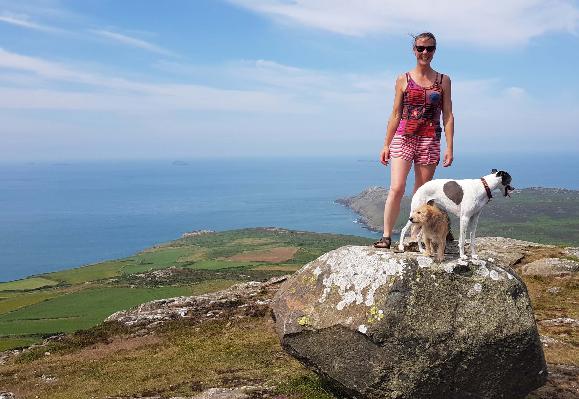 Behaviour Veterinary Practice