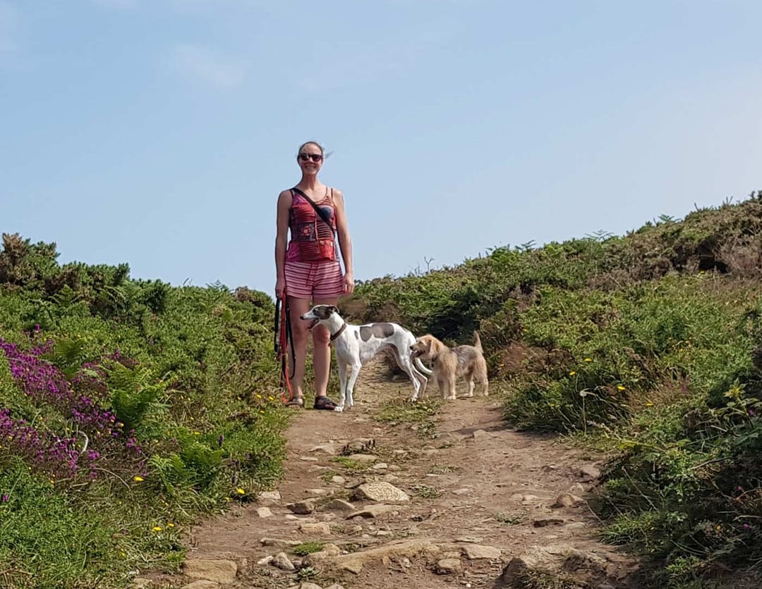 Behaviour Veterinary Practice