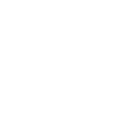 Momentum Chiropratique - Icône - Service