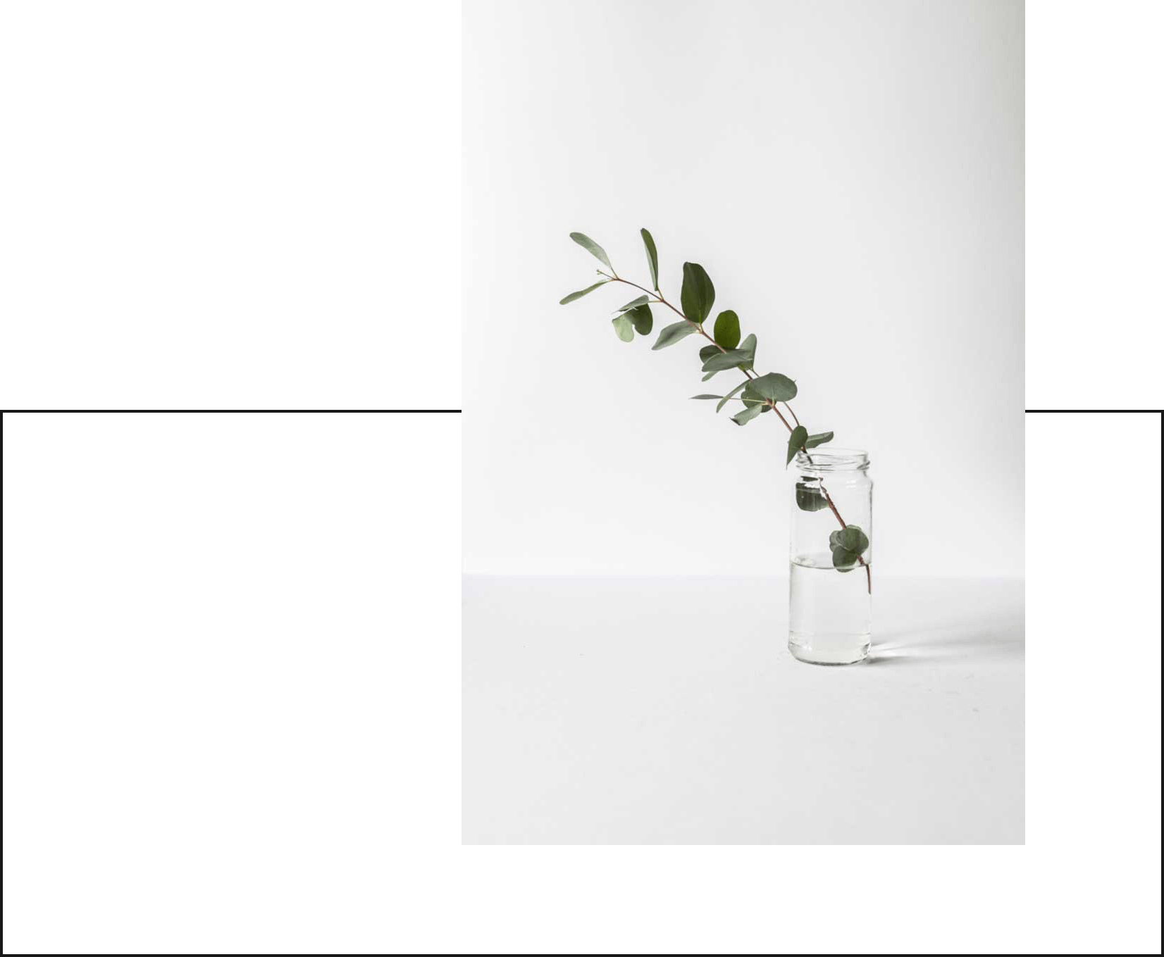 Digital Business Development