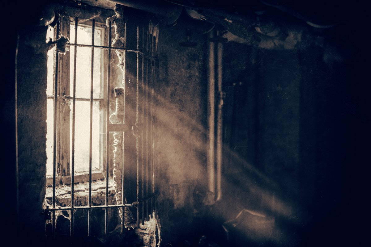 Lessons on Weathering the Pandemic from The Shawshank Redemption