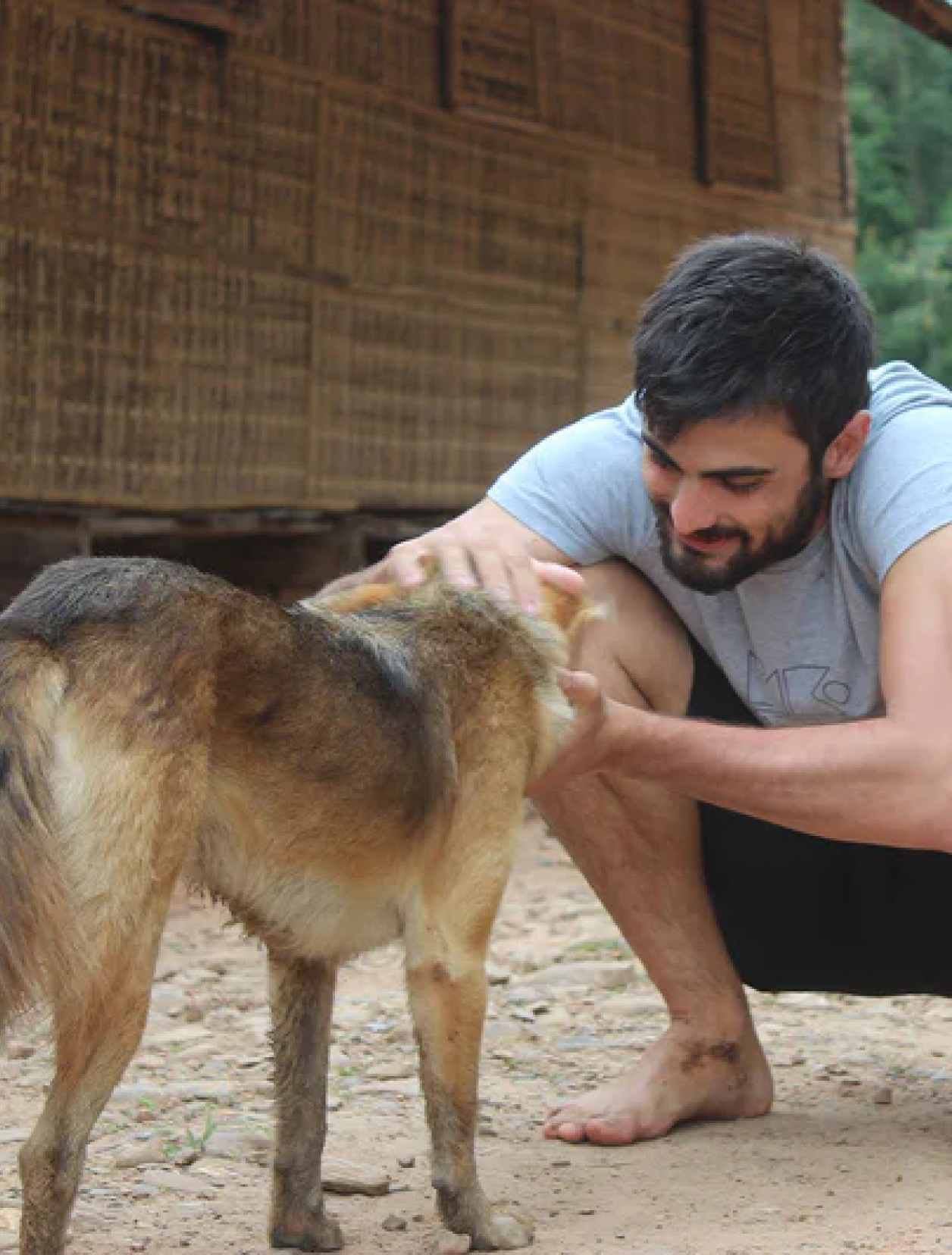 Man petting a dog
