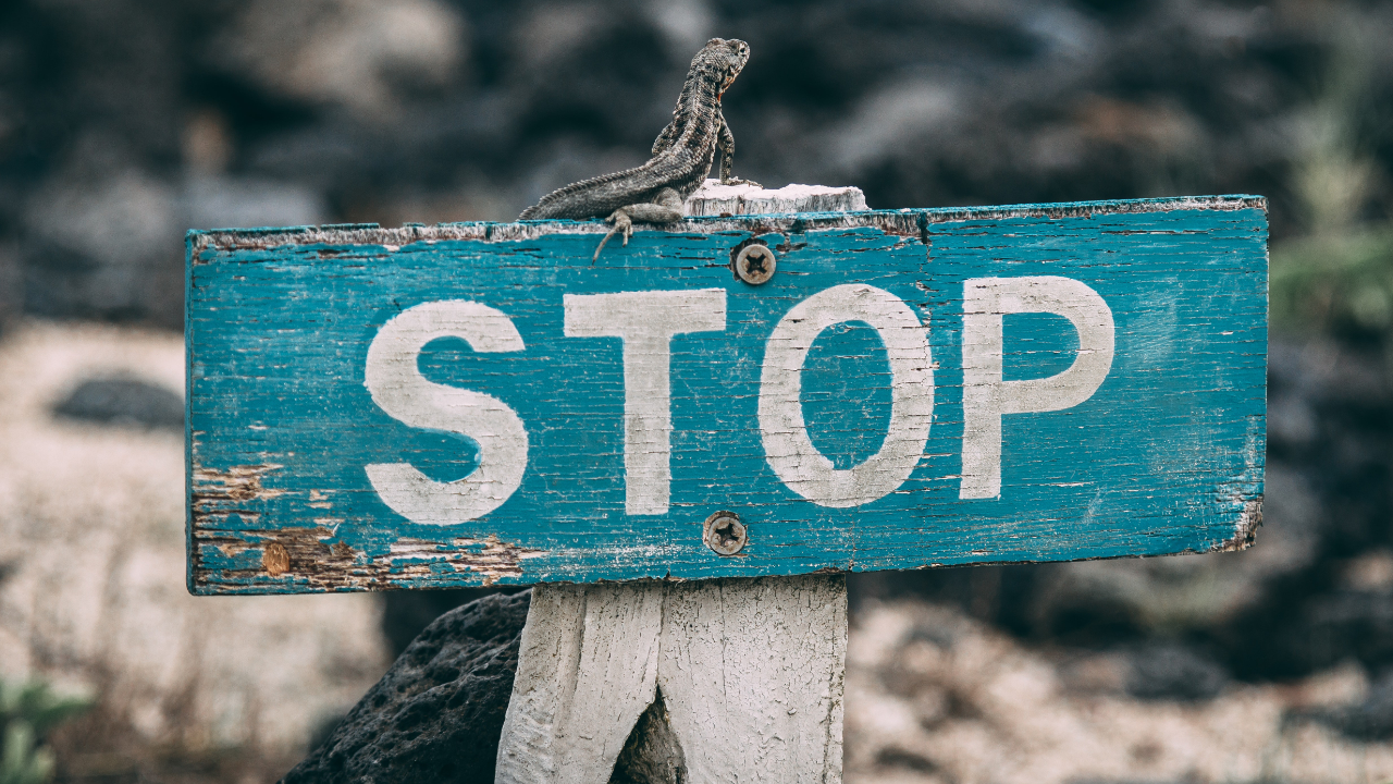 Stop