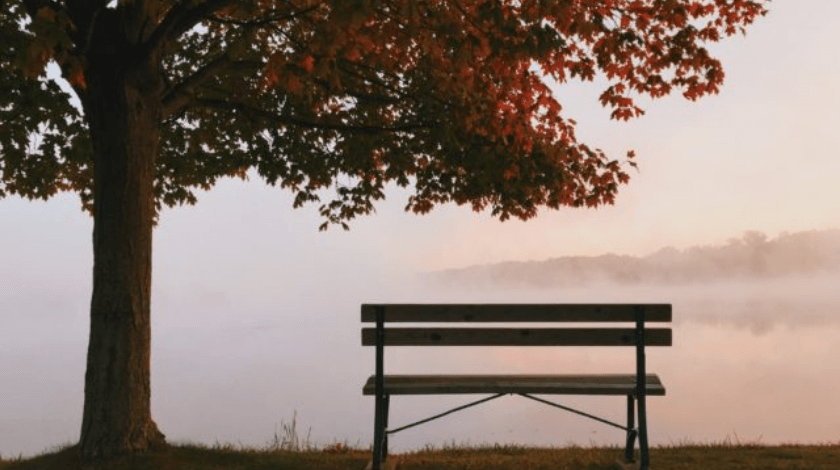 Visiter La Charente Maritime En Automne 19 Eden Ouest
