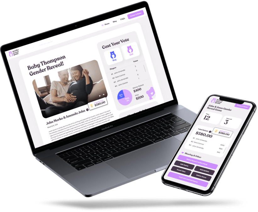 Villie Mockup on website and mobile device