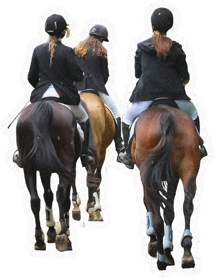 3 people riding horses
