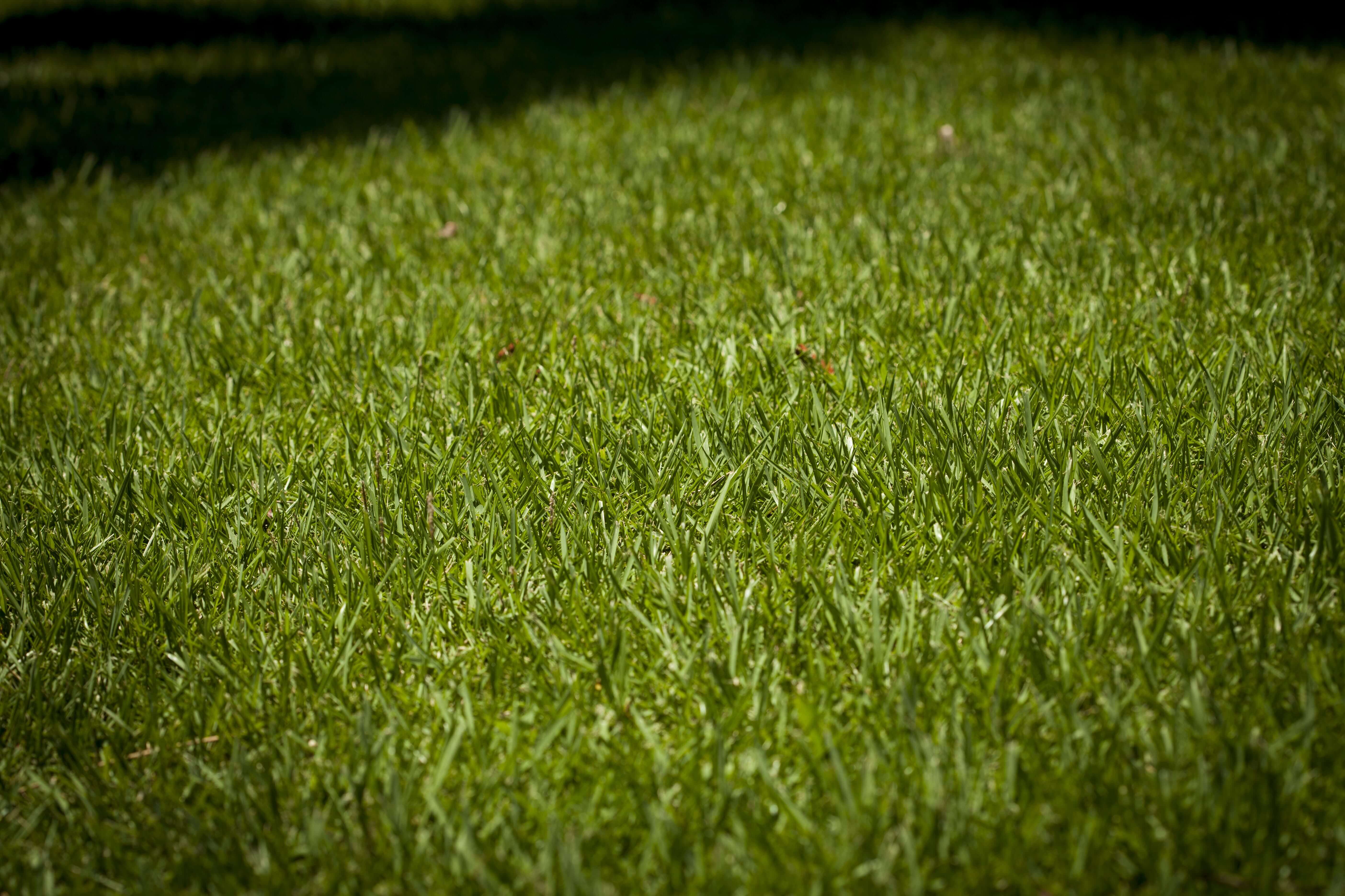 Irrigation Repair Jupiter Causes of Sprinkler Valve Leaks