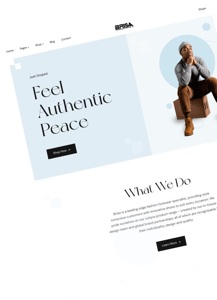 Brisa store landing page.