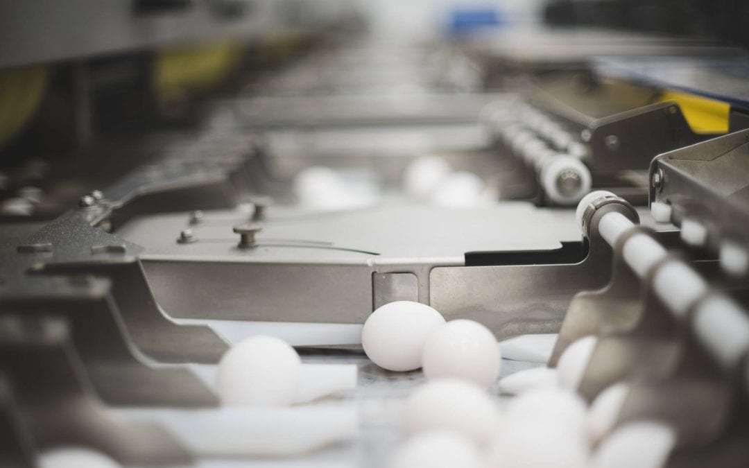 Michigan Allied Poultry Industries