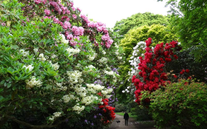 Sheringham Park