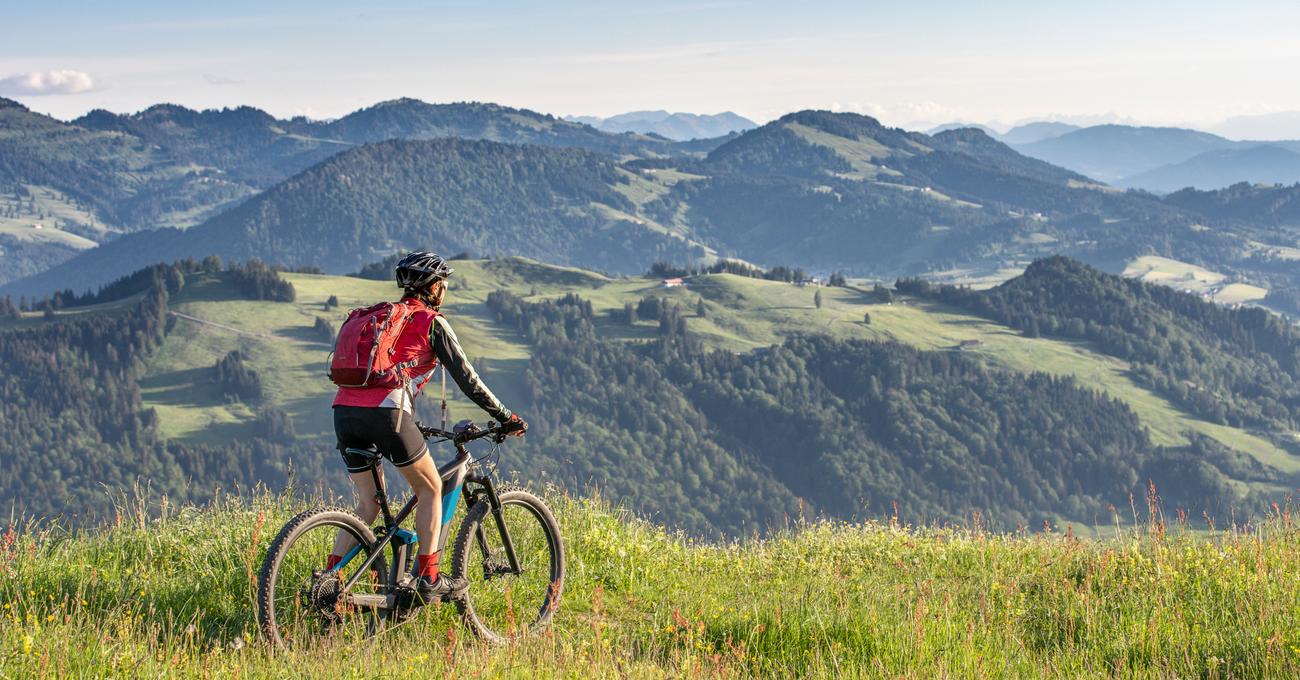 Best Bikes For The Money PedalChef