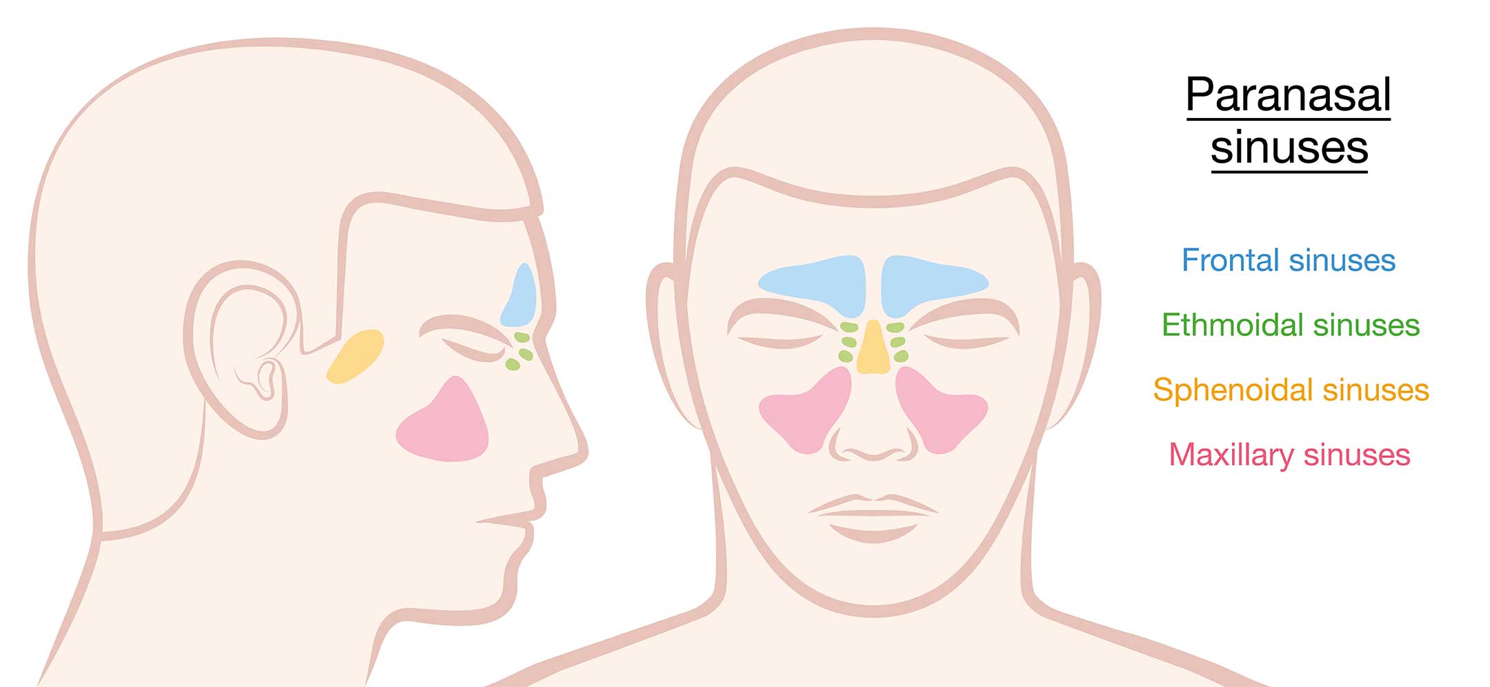 Can You Get Sinus Pressure Without Congestion 