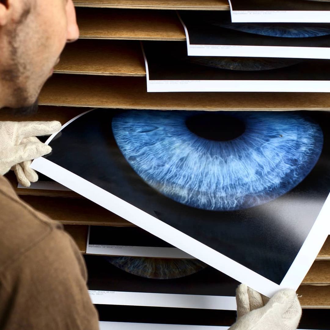 One of our photography technicians removes a single lustre finish print of a blue iris on black background.