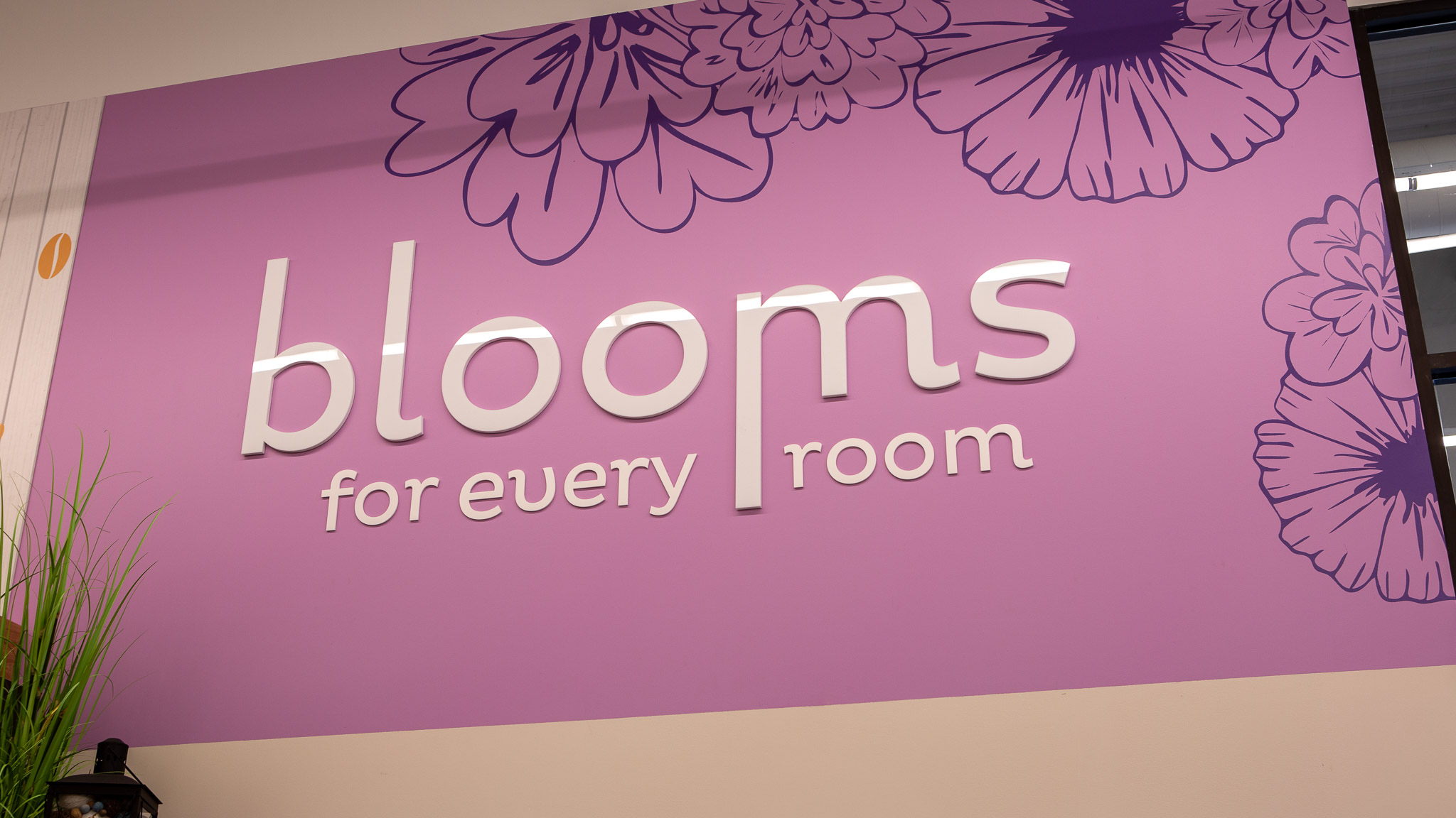 Macey's Eagle Mountain