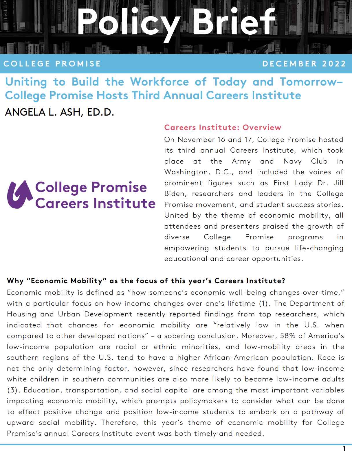 Careers institute Policy Brief: December 2022