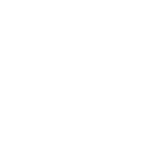 REEV badge