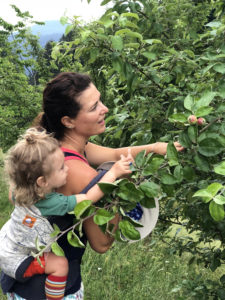 Blog Author Corrie and her child surrounded by fruit trees, picking fresh fruit.