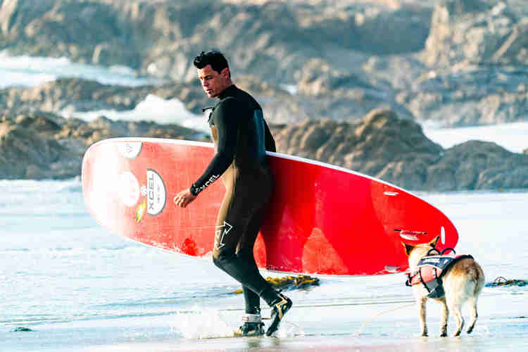surfing dog