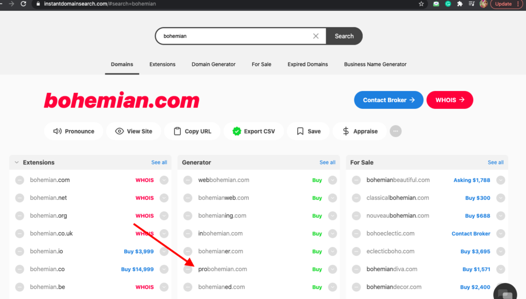name search on instant domain search