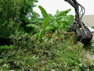 fallen tree branches being collected by a tractor arm