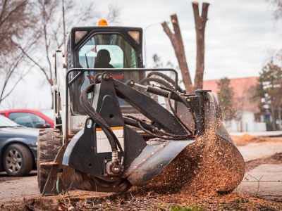 tractor stump grinder removing a tree stump