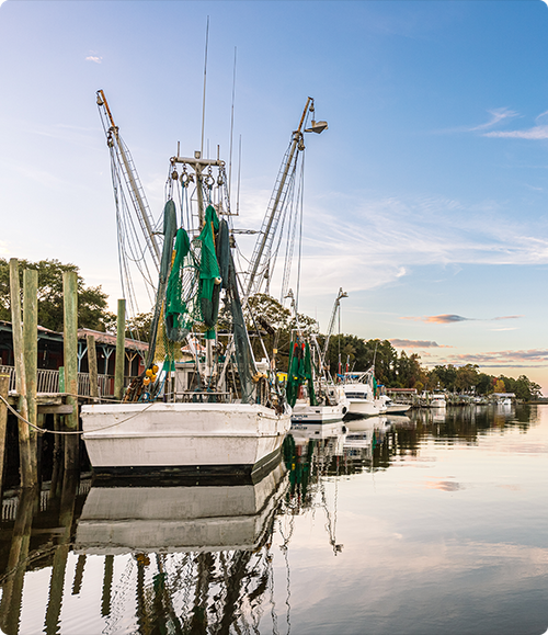 Town of Varnamtown About