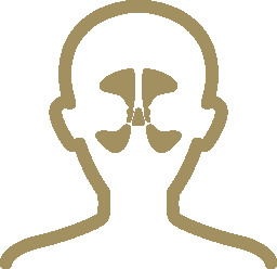Sinus Tan Icon