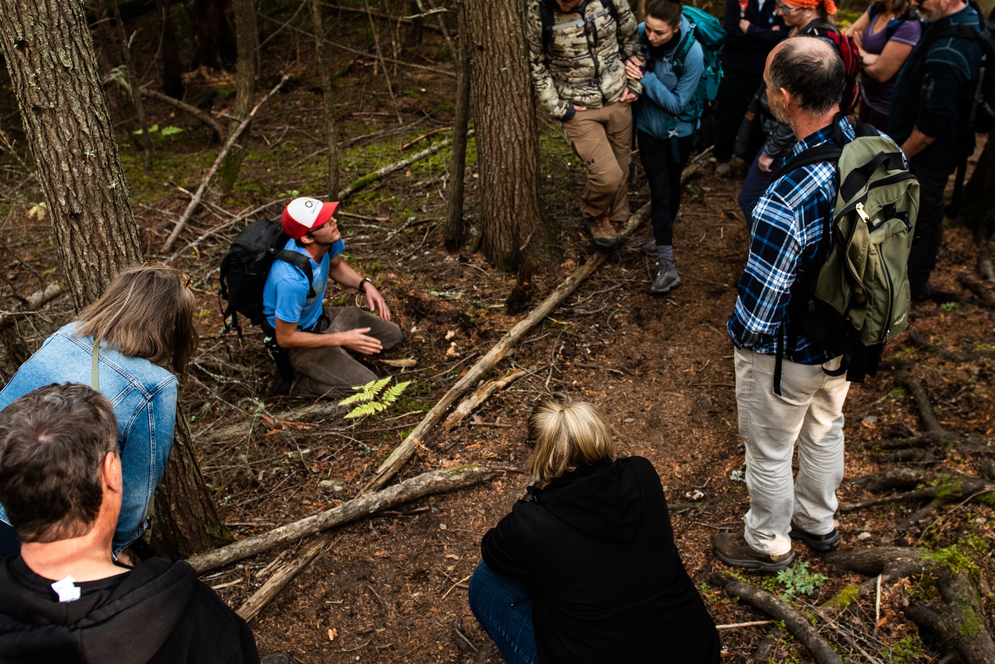 Group of people foraging for mushrooms